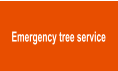 Emergency tree service