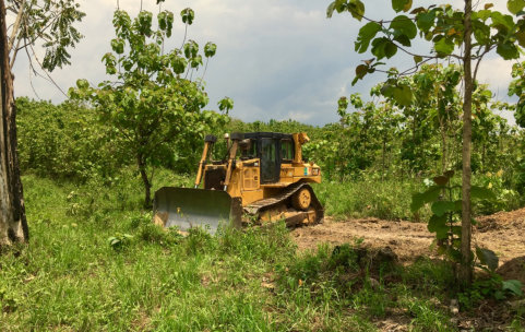 This is a picture of a lot clearing project by NWA Brothers Tree Service near Bella Vista, Arkansas